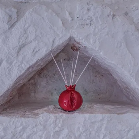 Tatil Evi Domus Petri 1908