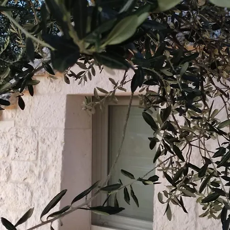 Domus Petri 1908 Tatil Evi