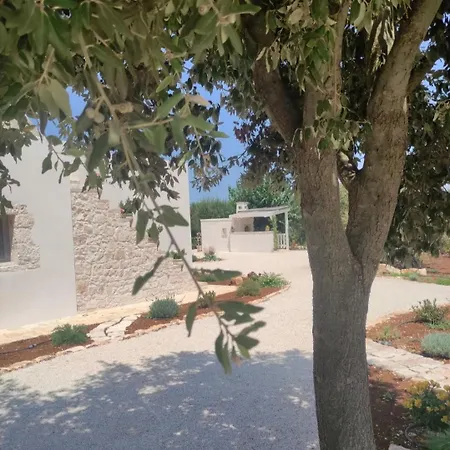 Сasa de vacaciones Domus Petri 1908