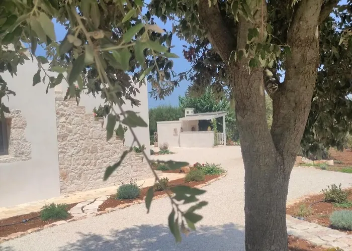 בית נופש Domus Petri 1908